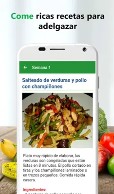 Dieta sana para adelgazar android App screenshot 2