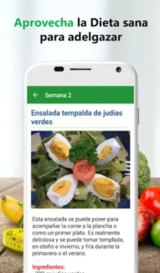 Dieta sana para adelgazar android App screenshot 4