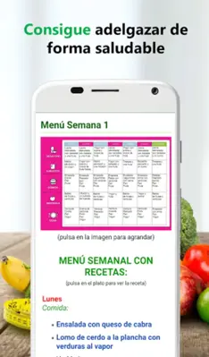 Dieta sana para adelgazar android App screenshot 5